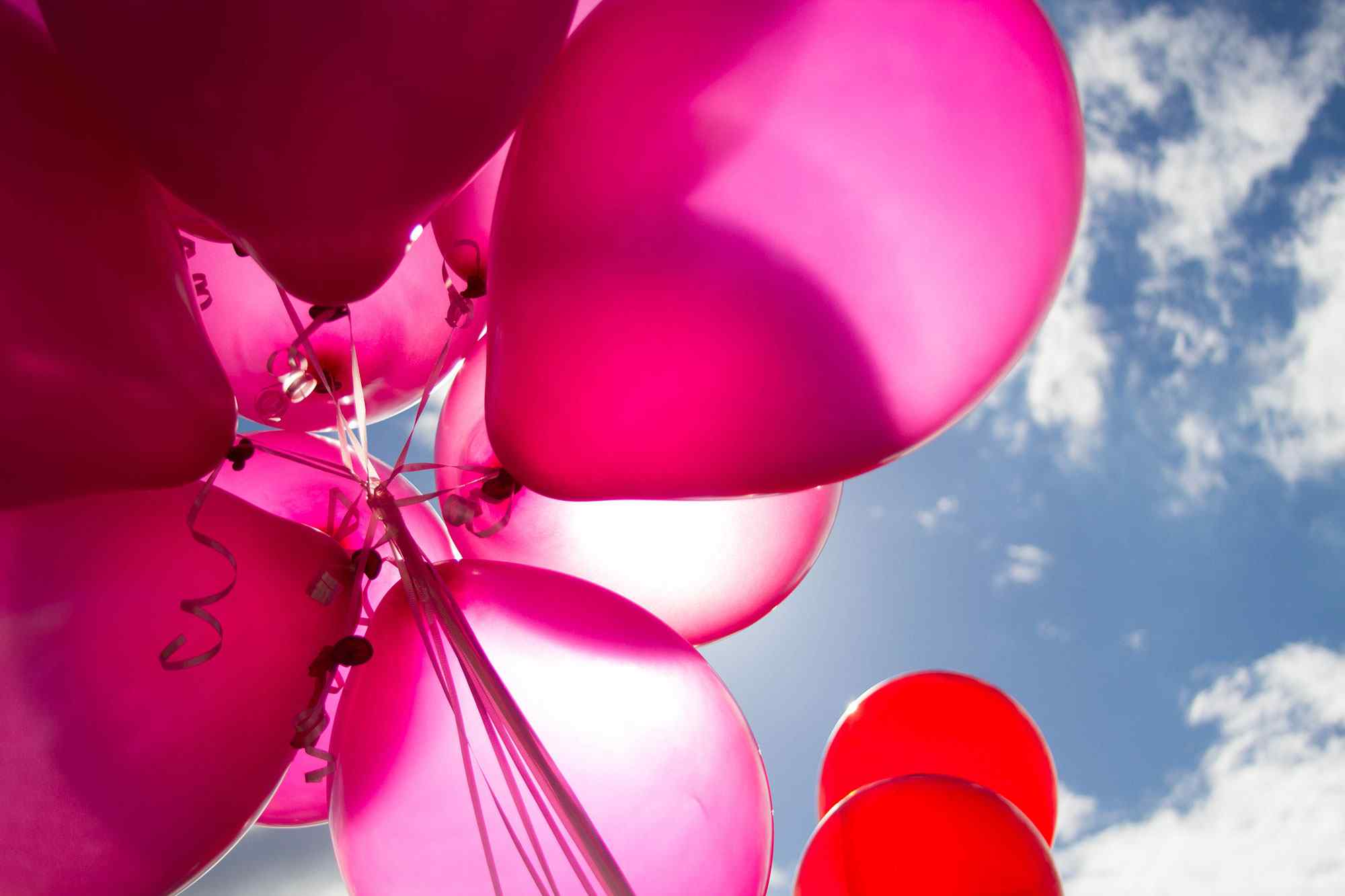 Pink balloons float in the sky in the Telephone Service Representative celebration day
