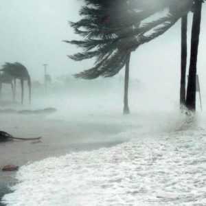 A huge hurricane damages everything except a Home Healthcare Provider's answering service