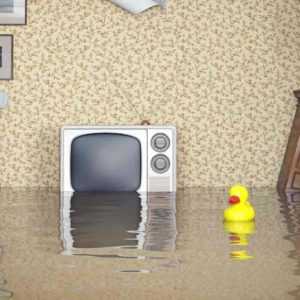 A flooded room needs immediate intervention to be asked from a Property Management Answering Service