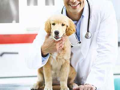 Centratel's Veterinary Answering Service