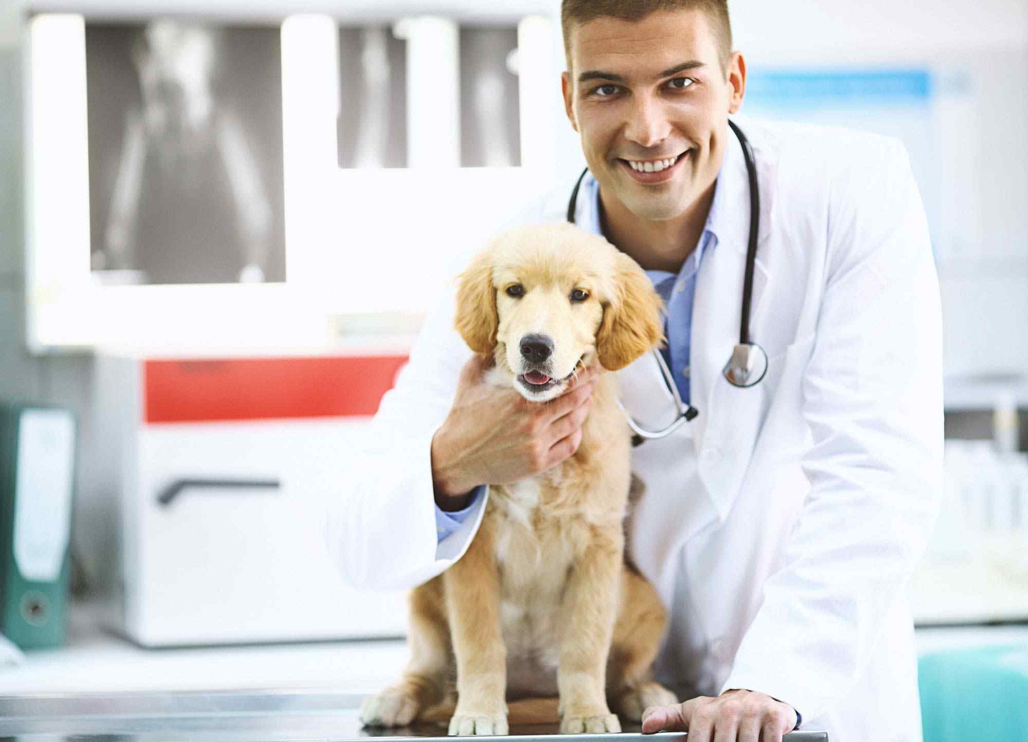 Veterinary Answering Service | Centratel