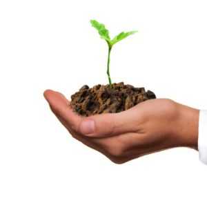 A growing plant as a representation of a growing business with the help of an answering service