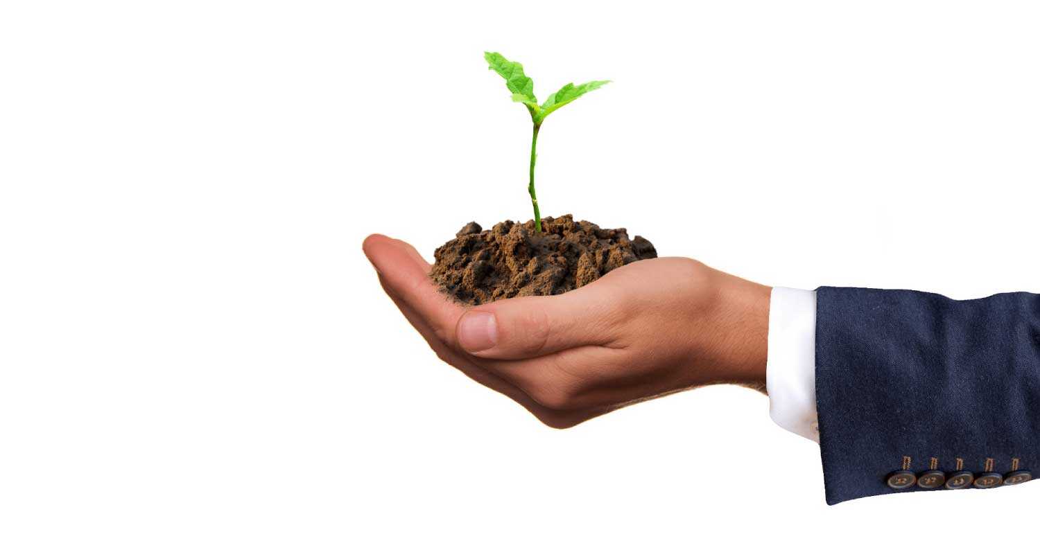 A growing plant as a representation of a growing business with the help of an answering service