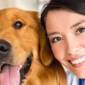 Veterinarian smiling to a dog rescued after been reported by her veterinary answering service