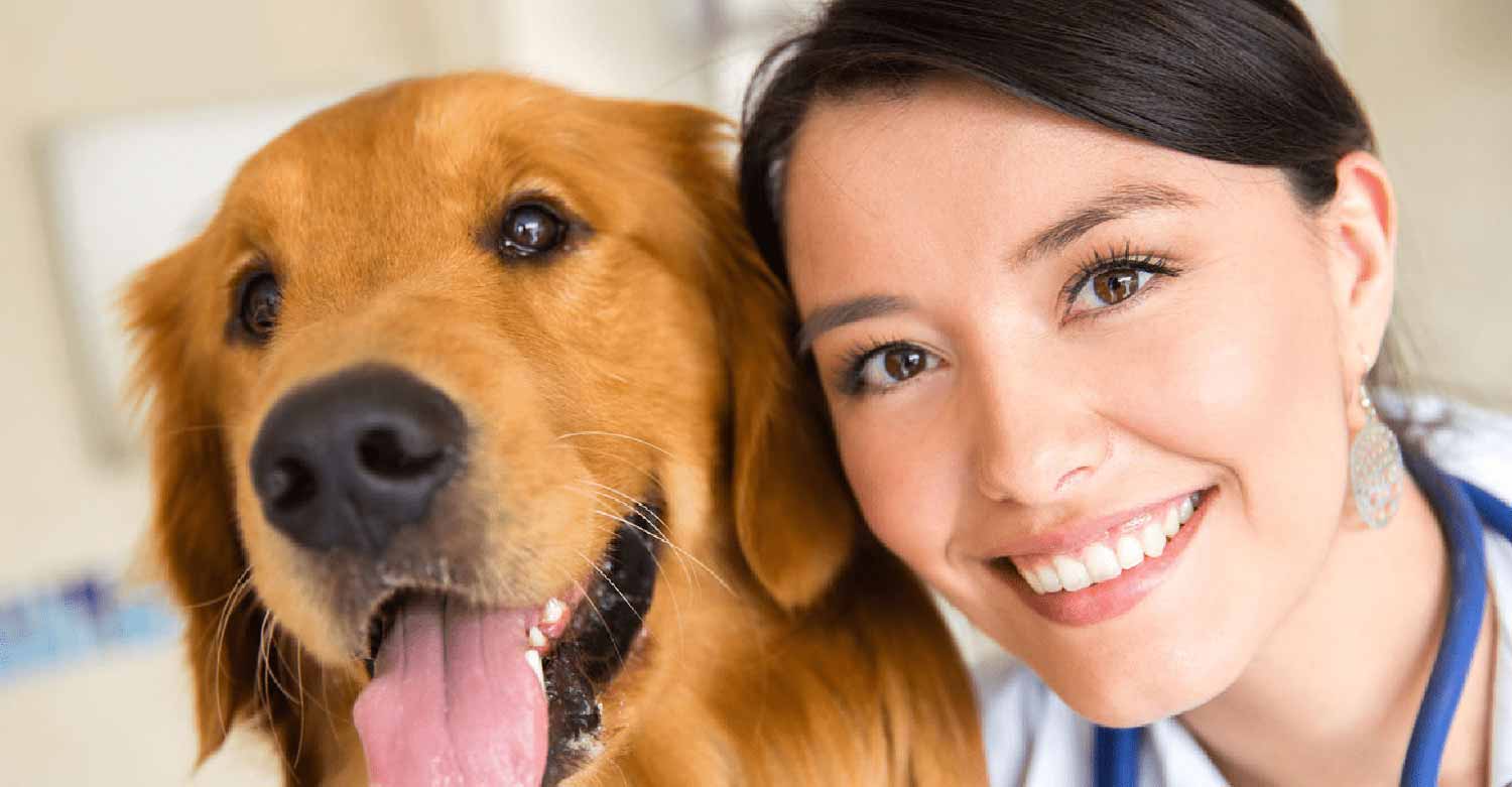 Veterinarian smiling to a dog rescued after been reported by her veterinary answering service