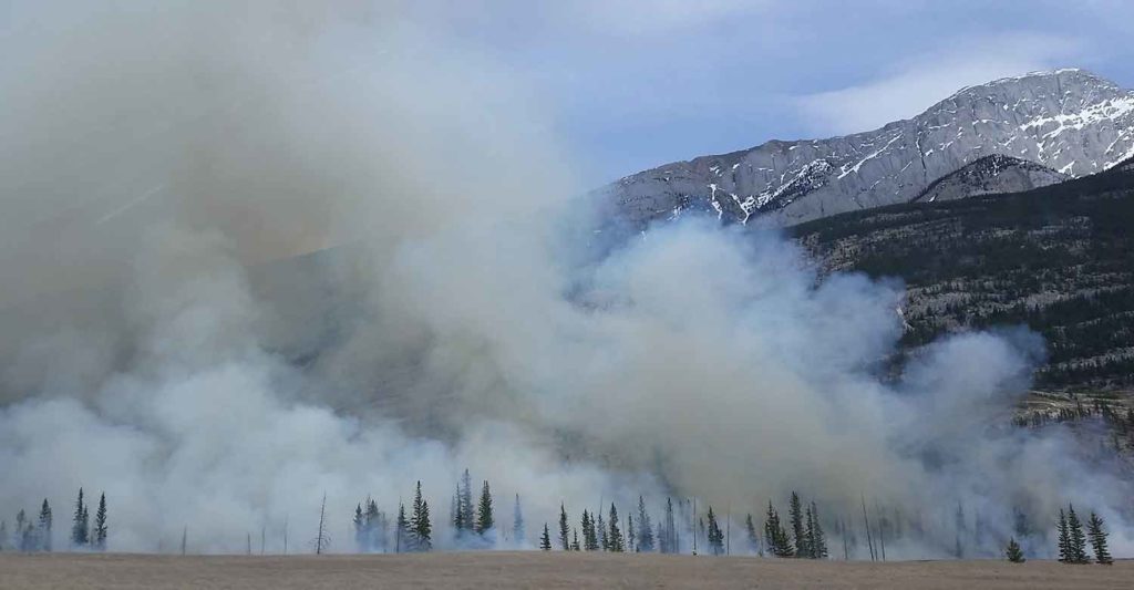 Smoke from a wildfire happening in a wood close to the mountains