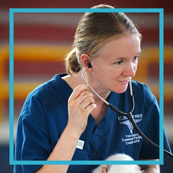 A veterinary healing a pet while her answering service takes important client's calls