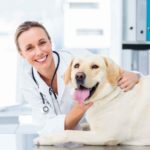 A veterinarian with a dog smiling while Cetratel Telephone Answering Service takes care of her calls