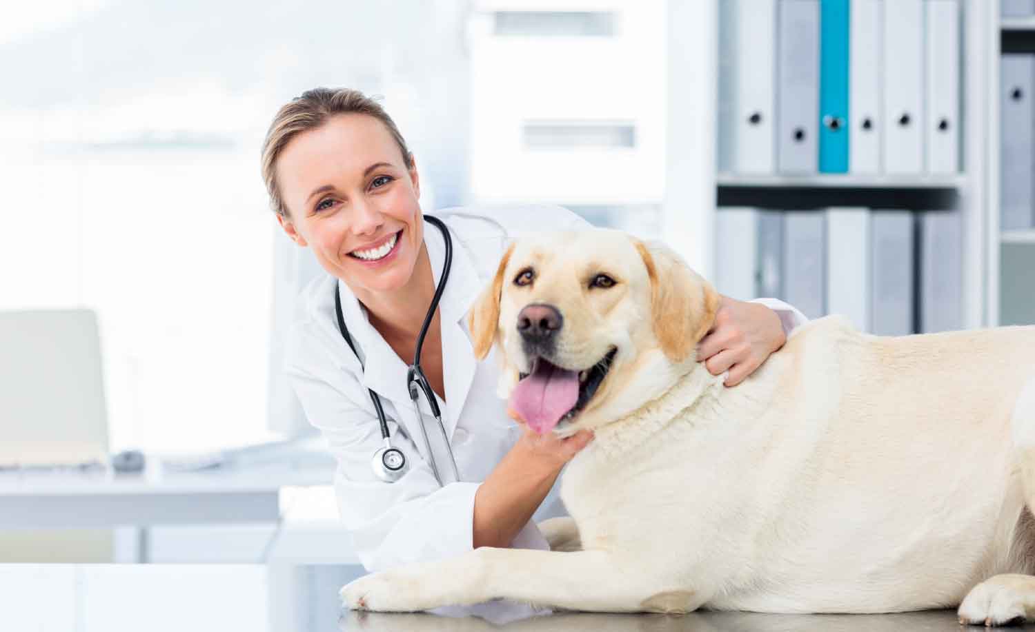 A veterinarian with a dog smiling while Cetratel Telephone Answering Service takes care of her calls