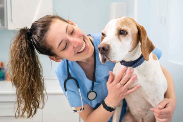 Happy veterinarian working with dog knowing that calls are managed by an answering service