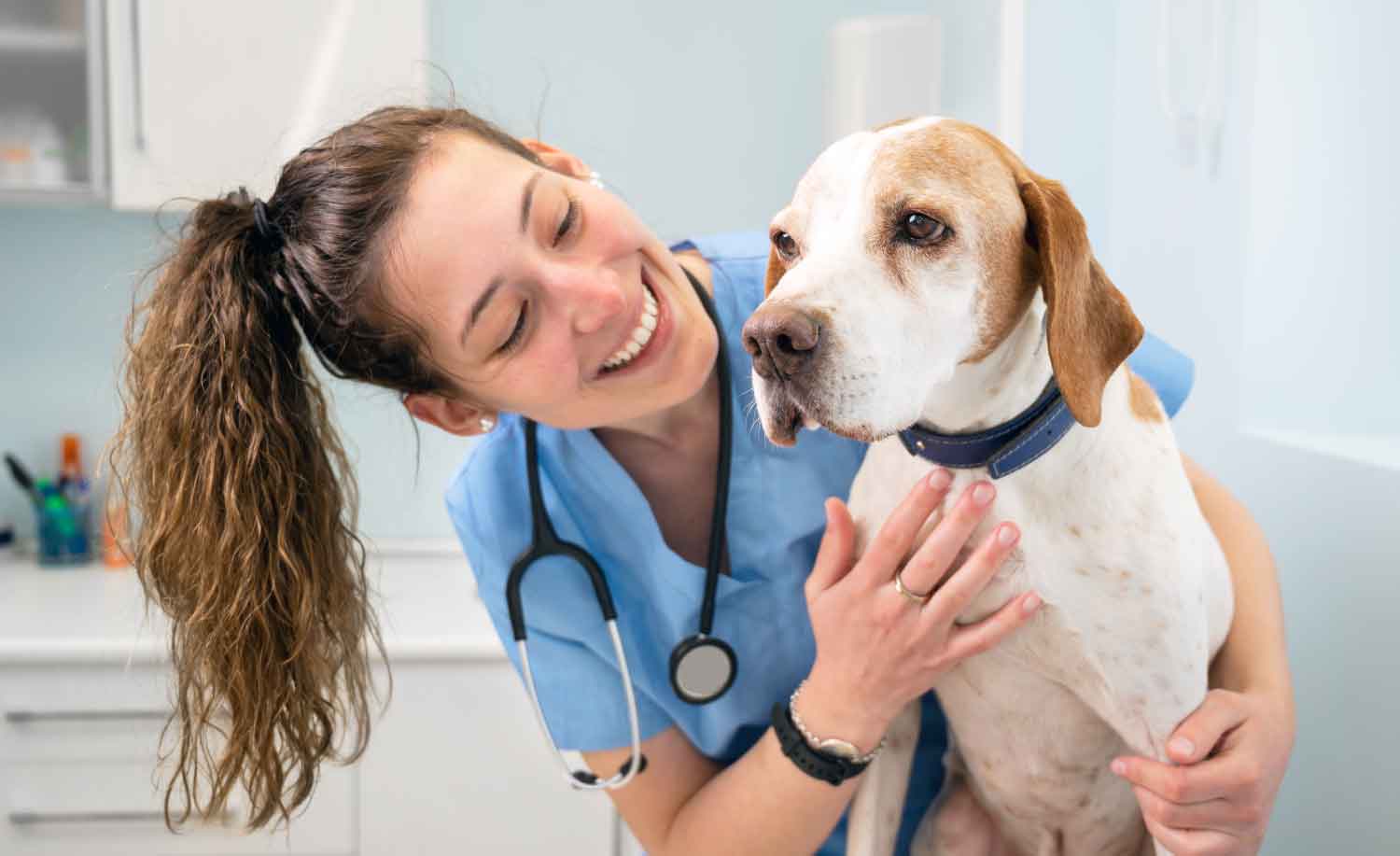 Happy veterinarian working with dog knowing that calls are managed by an answering service