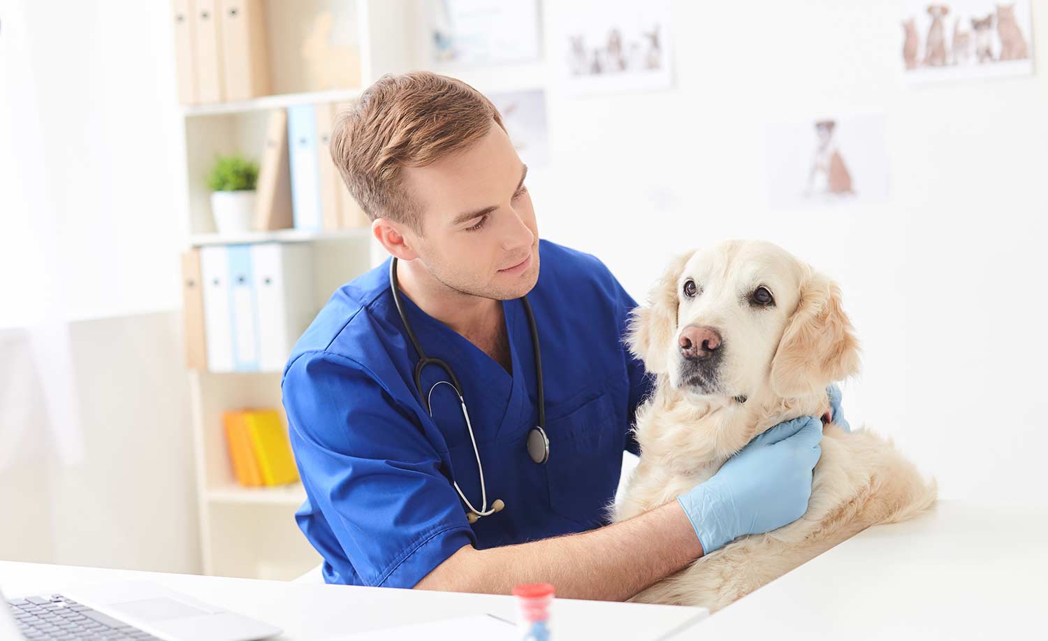 A brand-new veterinarian that choosed an elite-quality Answering Service like Centratel