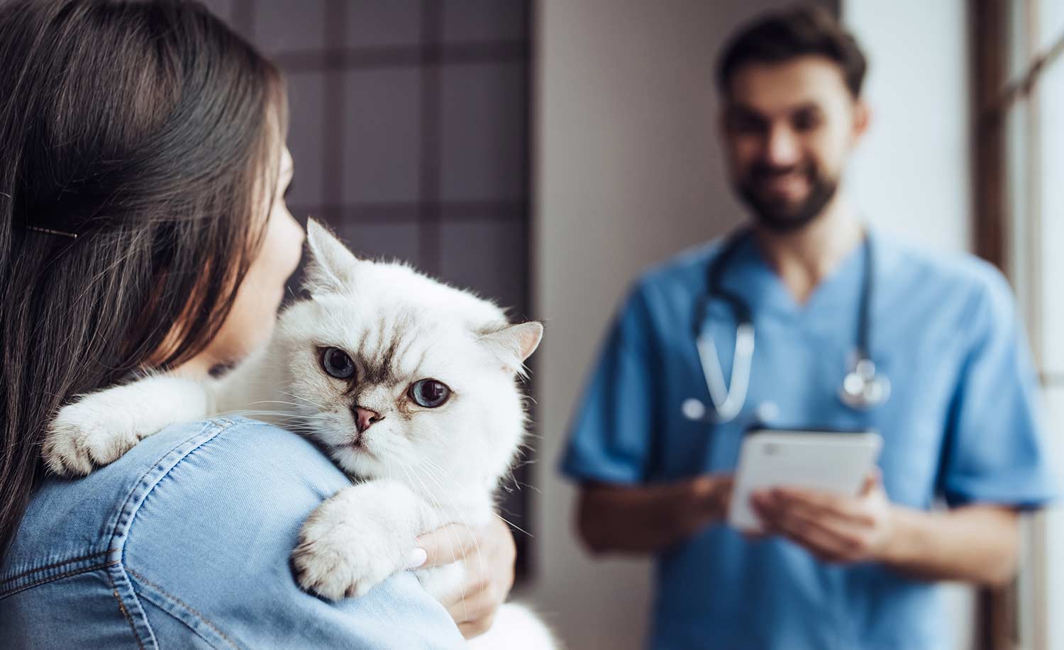 A woman holding her cat in a Centratel Telephone Answering Service's veterinary clinic client