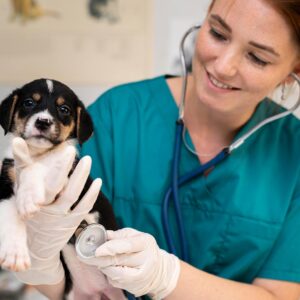 veterinary answering service