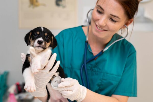 veterinary answering service