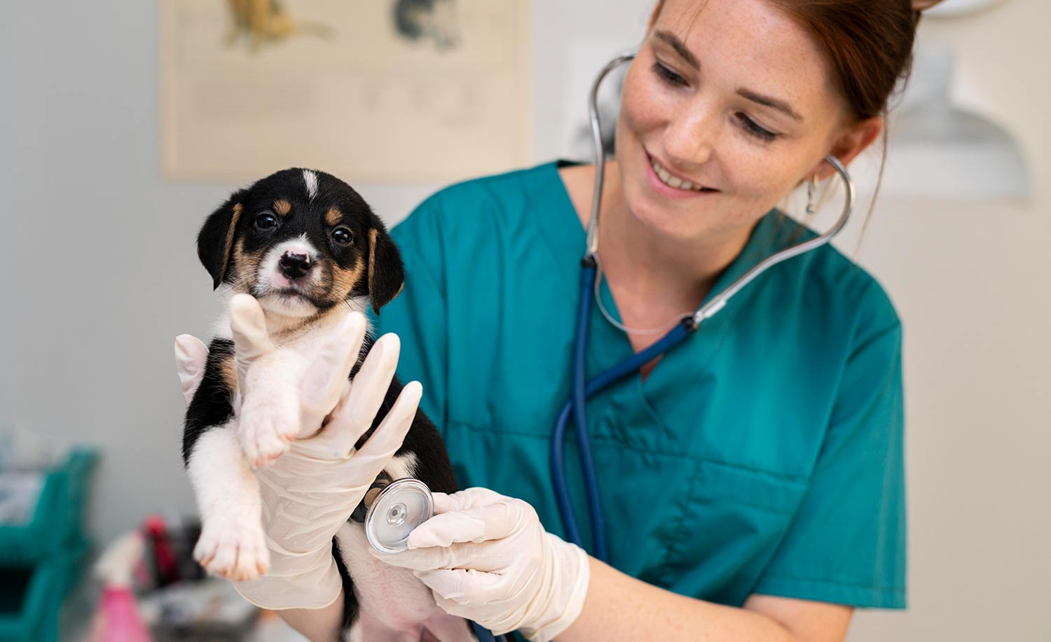 veterinary answering service