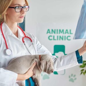 veterinary answering service