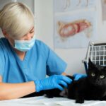 veterinary live answering service