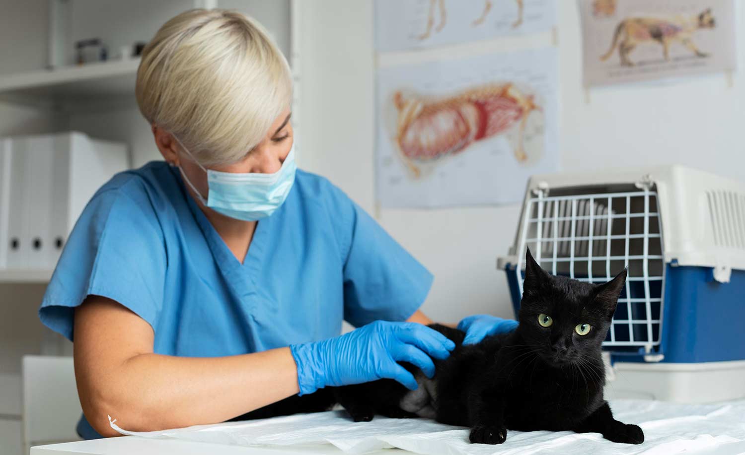 veterinary live answering service