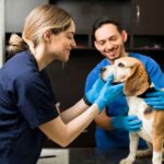 veterinary telephone answering service